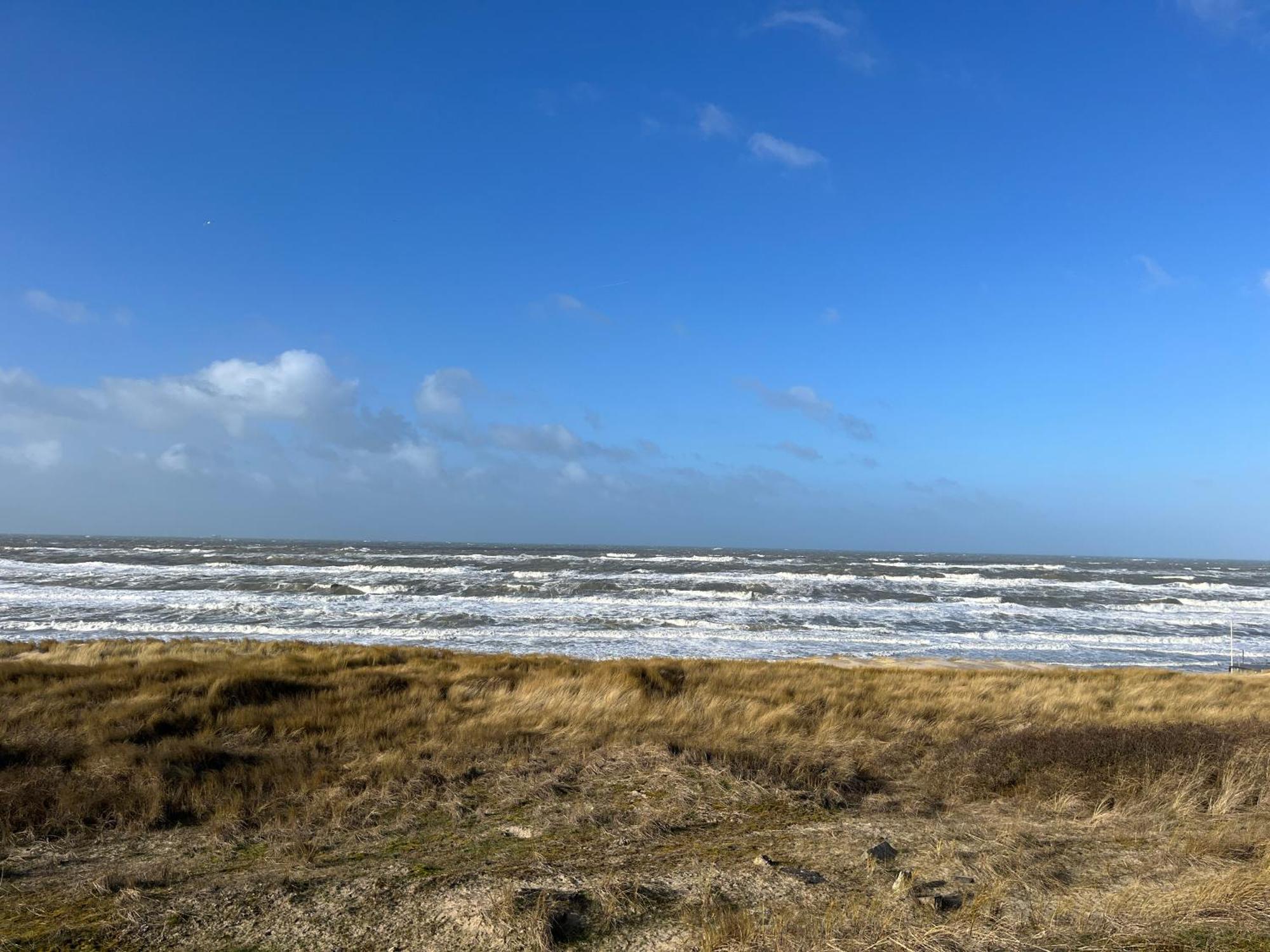 Modern Ingericht Vakantiehuis - Rust & Strand Op 350M Egmond aan Zee Exterior foto